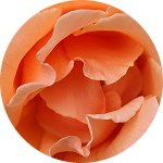 Verführerische Düfte